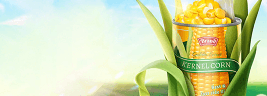 vendor banner